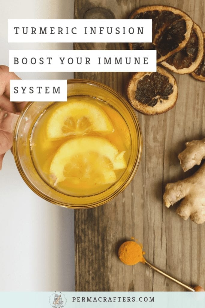 Turmeric Infusion | Boost Your Immune System - Permacrafters