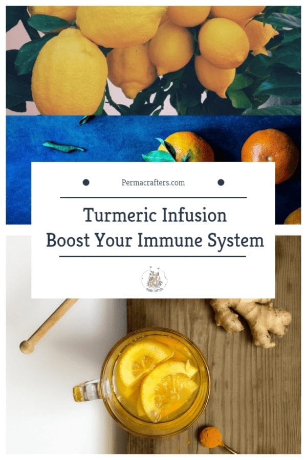 Turmeric Infusion | Boost Your Immune System - Permacrafters