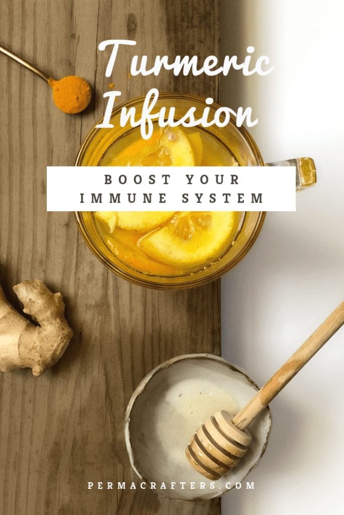 Turmeric Infusion | Boost Your Immune System - Permacrafters