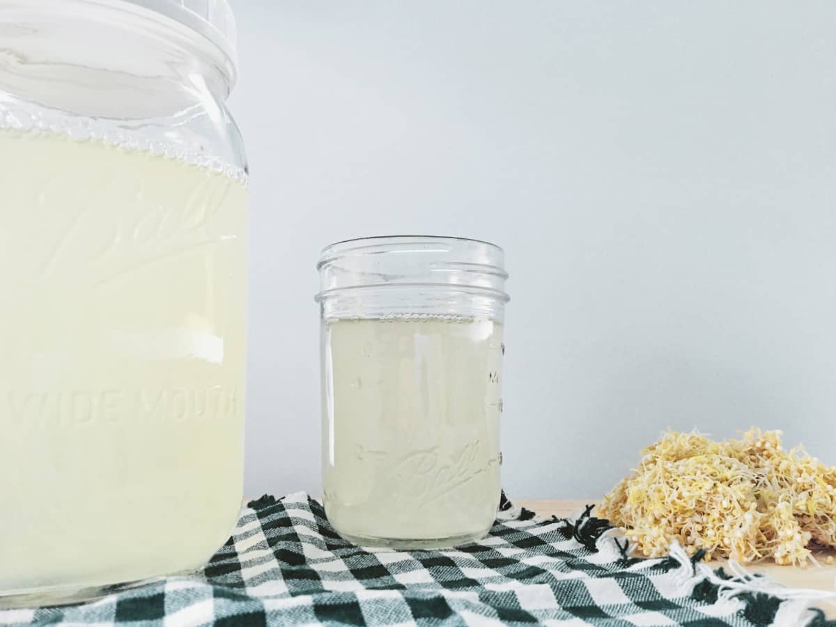 How to Make Rejuvelac | Probiotic Drink - Permacrafters